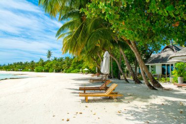 Şezlong ve şemsiyeler Hint Okyanusu, Maldivler Island ile güzel kumlu plaj