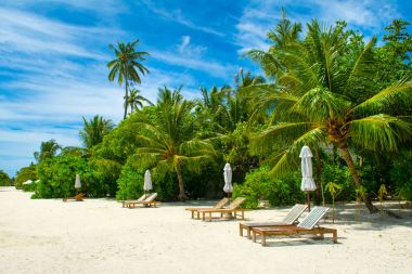 Şezlong ve şemsiyeler Hint Okyanusu, Maldivler Island ile güzel kumlu plaj