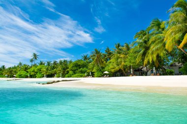 Palmiye ağaçları ve tropik bitkiler tarafından gölgeli ıssız Hint Okyanusu'nun kumlu plaja güzel manzara