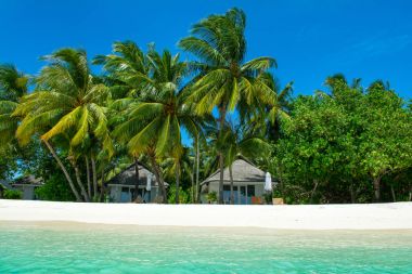 Şezlong ve şemsiyeler Hint Okyanusu, Maldivler Island ile güzel kumlu plaj