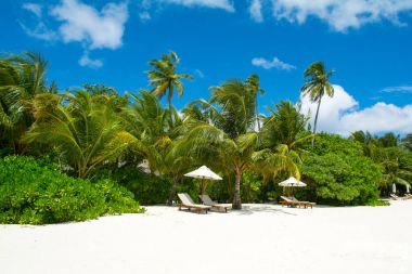 Şezlong ve şemsiyeler Hint Okyanusu, Maldivler Island ile güzel kumlu plaj