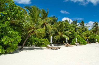 Şezlong ve şemsiyeler Hint Okyanusu, Maldivler Island ile güzel kumlu plaj