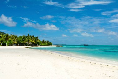 Palmiye ağaçları ve tropik bitkiler tarafından gölgeli ıssız Hint Okyanusu'nun kumlu plaja güzel manzara