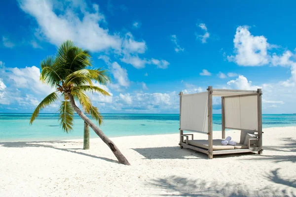 Chill Lounge Bölge Kumlu Plajda Maldivler Adası — Stok fotoğraf
