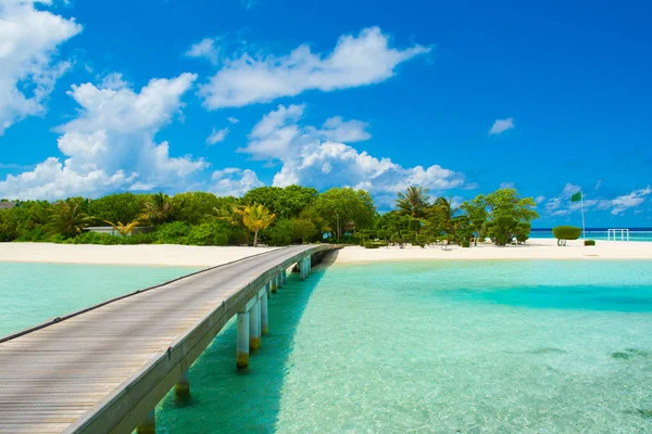 güzel tropikal peyzaj