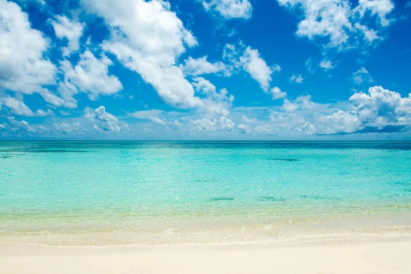 美丽的清澈蓝绿色的风景 印度洋 马尔代夫群岛 — 图库照片