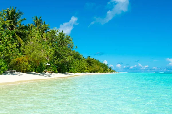 Palmiye ağaçları ve tropik bitkiler tarafından gölgeli ıssız Hint Okyanusu'nun kumlu plaja güzel manzara