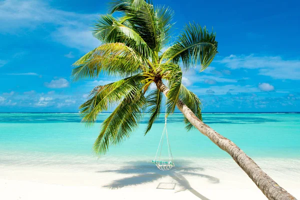 Palmiye Ağacı Hint Okyanusu Kıyısında Swings Ile Tropikal Peyzaj — Stok fotoğraf