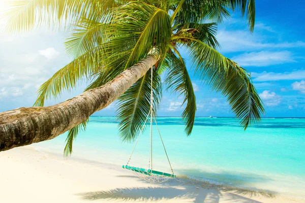 Palmiye Ağacı Hint Okyanusu Kıyısında Swings Ile Tropikal Peyzaj — Stok fotoğraf