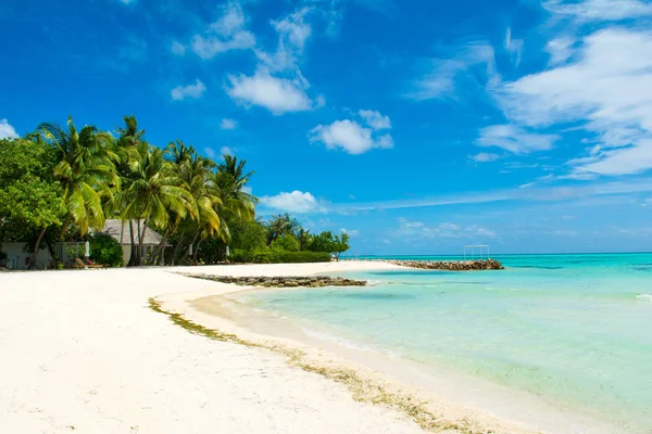 Hermoso Paisaje Desierta Playa Arena Del Océano Índico Sombra Palmeras — Foto de Stock