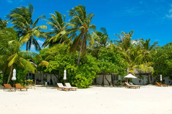 Şezlong ve şemsiyeler Hint Okyanusu, Maldivler Island ile güzel kumlu plaj