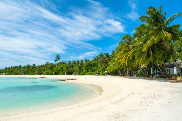 Şezlong ve şemsiyeler Hint Okyanusu, Maldivler Island ile güzel kumlu plaj