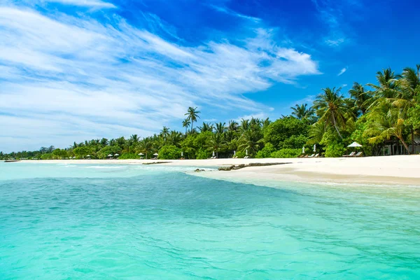 Palmiye ağaçları ve tropik bitkiler tarafından gölgeli ıssız Hint Okyanusu'nun kumlu plaja güzel manzara
