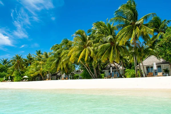 Şezlong ve şemsiyeler Hint Okyanusu, Maldivler Island ile güzel kumlu plaj