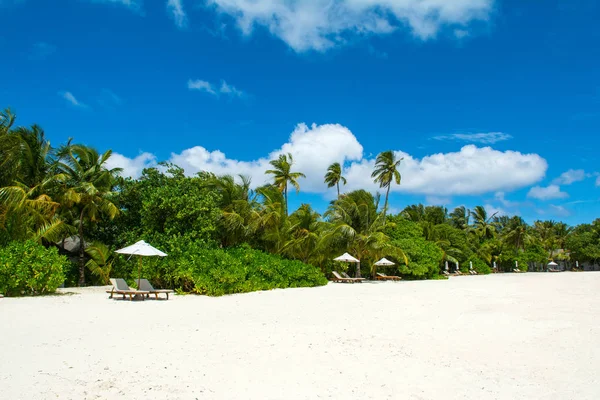 Şezlong ve şemsiyeler Hint Okyanusu, Maldivler Island ile güzel kumlu plaj