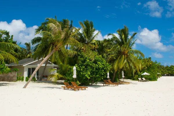 Hermosa Playa Arena Con Tumbonas Sombrillas Océano Índico Maldivas Isla — Foto de Stock