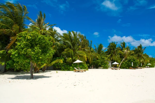 Şezlong ve şemsiyeler Hint Okyanusu, Maldivler Island ile güzel kumlu plaj