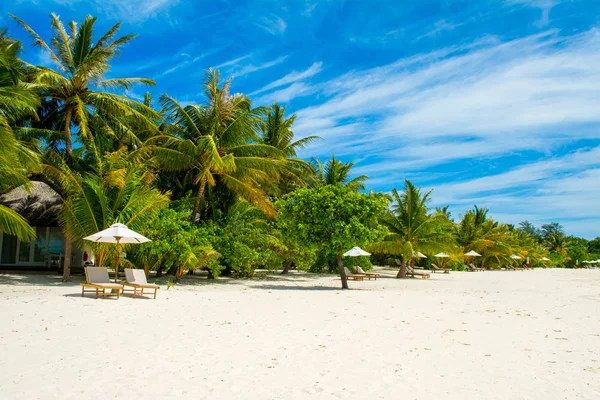 Hermoso Paisaje Desierta Playa Arena Del Océano Índico Sombra Palmeras — Foto de Stock