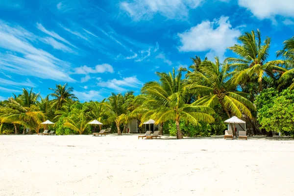 Şezlong ve şemsiyeler Hint Okyanusu, Maldivler Island ile güzel kumlu plaj