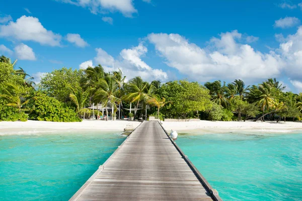 Деревянный Мост Красивому Песчаному Пляжу Тени Пальм Тропических Растений Мальдивы — стоковое фото