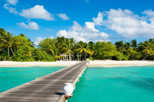 Güzel kumlu plaj tropikal bitki, Maldivler ve avuç içi gölgede ahşap köprü