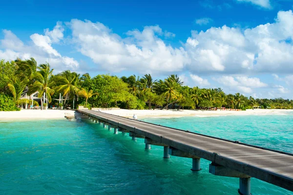 Güzel kumlu plaj tropikal bitki, Maldivler ve avuç içi gölgede ahşap köprü