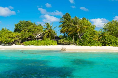 Palmiye ağaçları ve tropik bitkiler tarafından gölgeli ıssız Hint Okyanusu'nun kumlu plaja güzel manzara