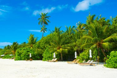 Şezlong ve şemsiyeler Hint Okyanusu, Maldivler Island ile güzel kumlu plaj