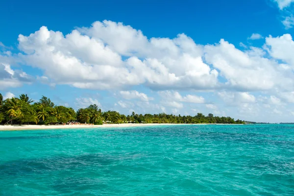 Palmiye ağaçları ve tropik bitkiler tarafından gölgeli ıssız Hint Okyanusu'nun kumlu plaja güzel manzara