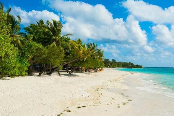 Palmiye ağaçları ve tropik bitkiler tarafından gölgeli ıssız Hint Okyanusu'nun kumlu plaja güzel manzara