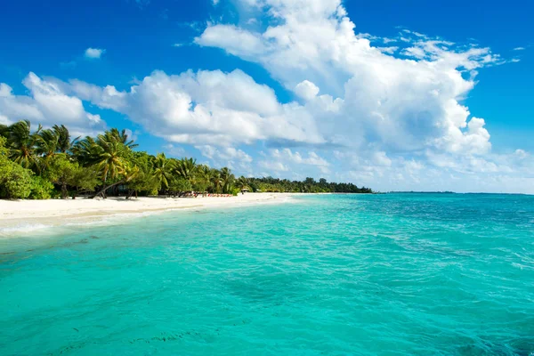 Palmiye ağaçları ve tropik bitkiler tarafından gölgeli ıssız Hint Okyanusu'nun kumlu plaja güzel manzara