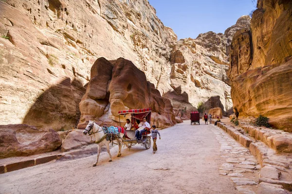 Petra Jordania Marzo 2017 Caballo Transporta Turistas Por Cañón Siq — Foto de Stock