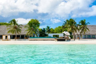 güzel tropikal peyzaj