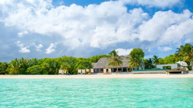 güzel tropikal peyzaj