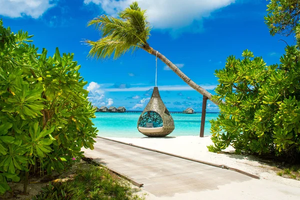 Chill lounge zone on the sandy beach, Maldives island