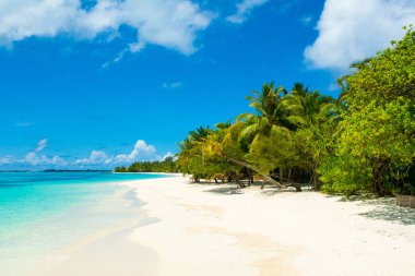 Güzel panoramik manzara