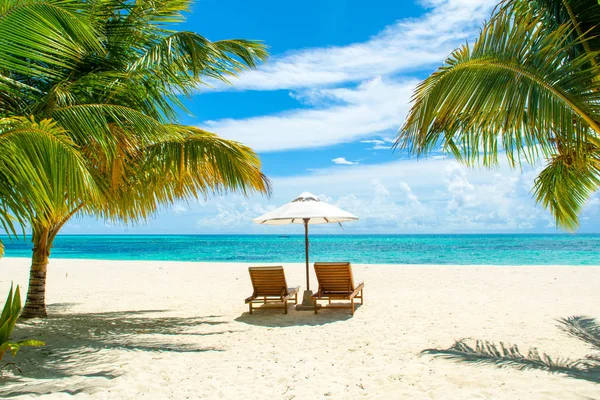 Beautiful landscape with sunbeds and umbrellas on the sandy beac — Stock Photo, Image