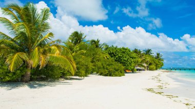 Güzel Maldivler manzara