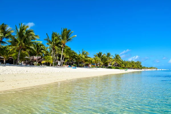 Güzel yaz manzara tropik sahil 