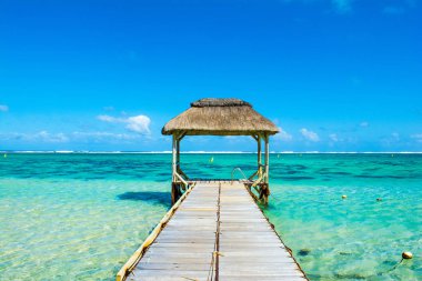 Güzel tropikal güneşli manzara