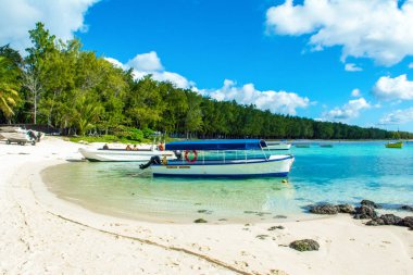 Güzel yaz manzara tropik sahil 