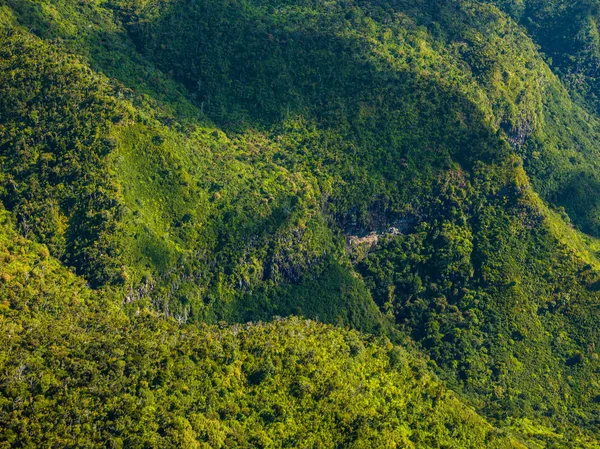 Black River Gorges Nationalpark — Stockfoto
