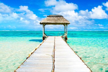 Güzel tropikal güneşli manzara