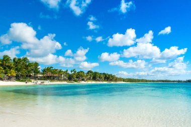 Güzel yaz manzara tropik sahil 