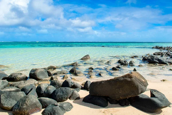 Beautiful tropical sunny landscape — Stock Photo, Image