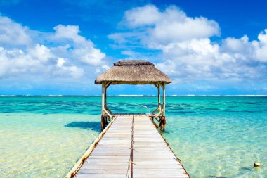 Güzel tropikal güneşli manzara