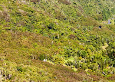  Black River Vadisi Ulusal Parkı 