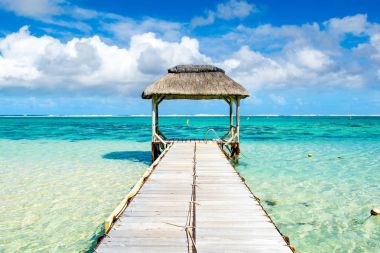 Güzel tropikal güneşli manzara