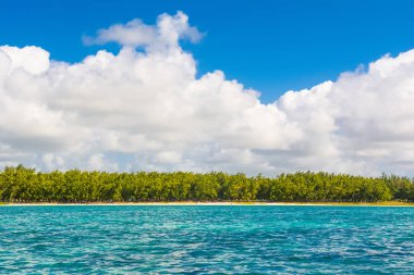Güzel yaz manzara tropik sahil 