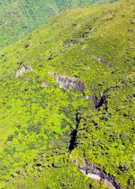  Black River Vadisi Ulusal Parkı 